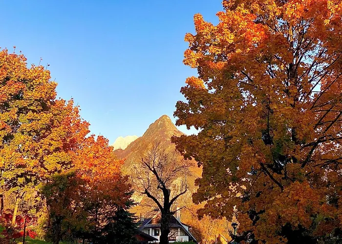 דירה 3 Sovice בובק